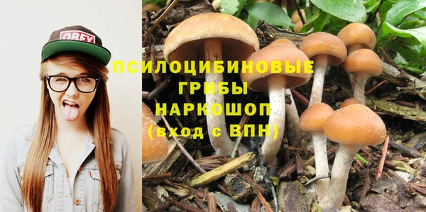 эйфоретик Аркадак