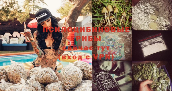 шишки Покачи