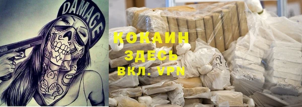 эйфоретик Аркадак