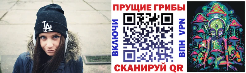 Псилоцибиновые грибы Magic Shrooms мега зеркало Пошехонье